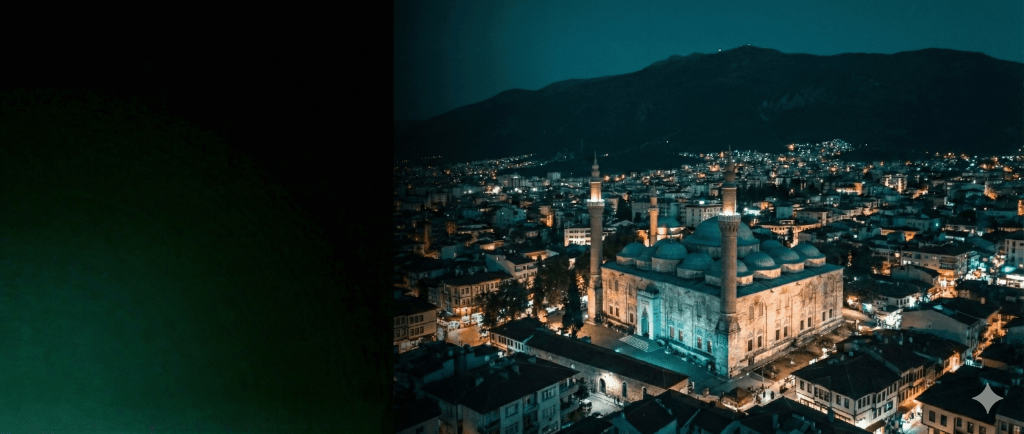 Bursa